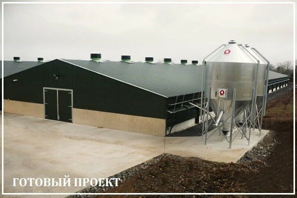 Этапы возведения птицефабрики от завода ВелесТент-брв